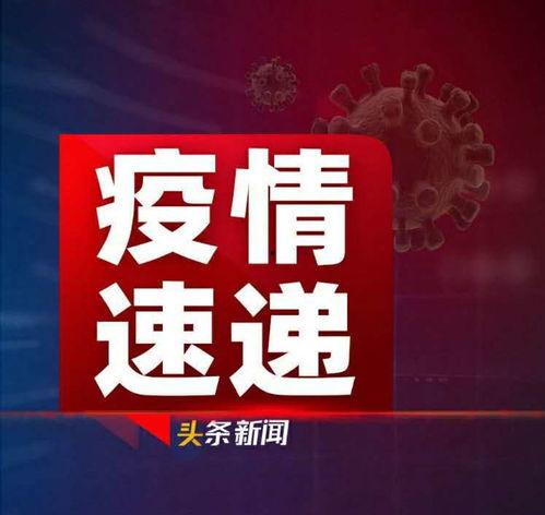 雷洲爆料头条新闻,头条新闻背后的惊人真相