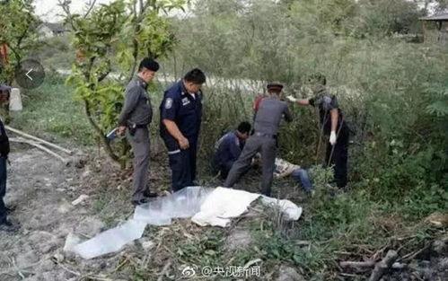 南宁五象湖事件吃瓜,真相与争议交织的吃瓜现场